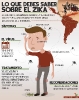 Infográficos sobre el Zika_10