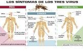 Infográficos sobre el Zika_16