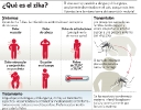 Infográficos sobre el Zika_17