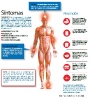 Infográficos sobre el Zika_18