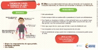 Infográficos sobre el Zika_23