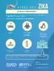 Infográficos sobre el Zika_3