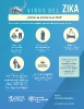 Infográficos sobre el Zika_4