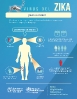 Infográficos sobre el Zika_5