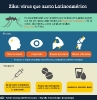 Infográficos sobre el Zika_6