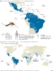 Infográficos sobre el Zika_9