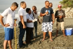 Liberación de tortugas tinglar en Playa Manresa 7 de agosto 2014._9