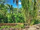 Turista en casa: El Jardín Botánico Nacional