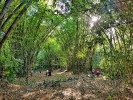 Jardín Botánico Nacional 