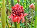 Turista en casa: El Jardín Botánico Nacional