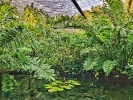 Turista en casa: El Jardín Botánico Nacional