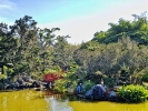 Turista en casa: El Jardín Botánico Nacional