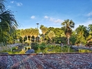Turista en casa: El Jardín Botánico Nacional