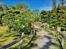 Turista en casa: El Jardín Botánico Nacional