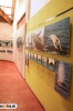 Museo de la Ballena Samaná._2