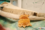 Museo Ballenas Samana