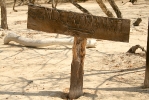 Santuario de Mamíferos Marinos de Estero Hondo_4