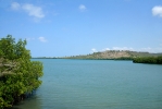 Santuario de Mamíferos Marinos de Estero Hondo_7